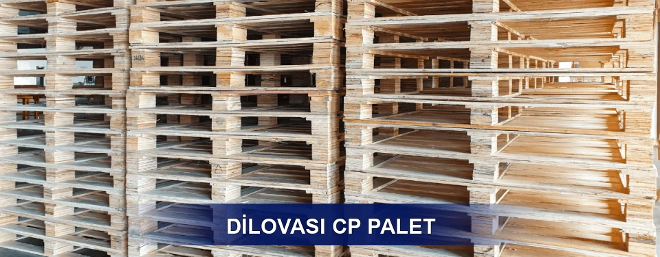 Dilovası Standart Tipler