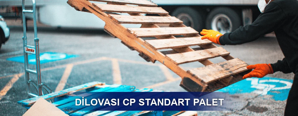 Dilovası Fiyatlandırma