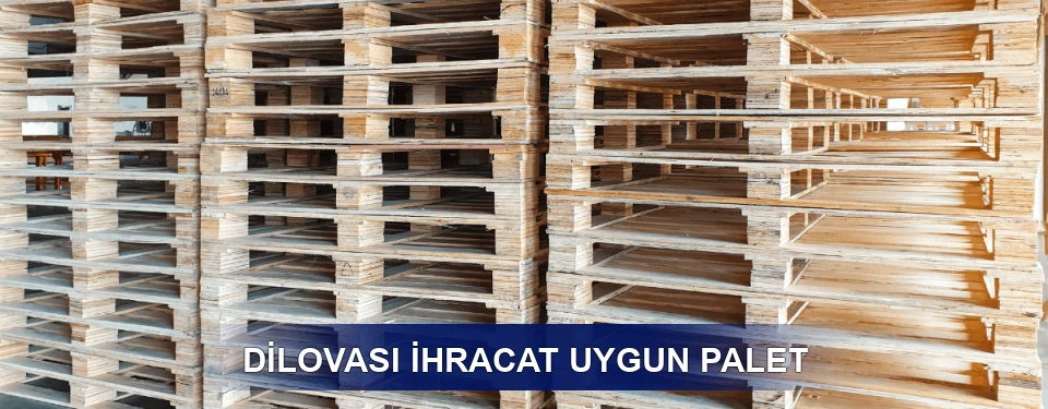 Dilovası Fiyatlandırma